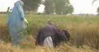 Agri development rate will be 3.5 in this year